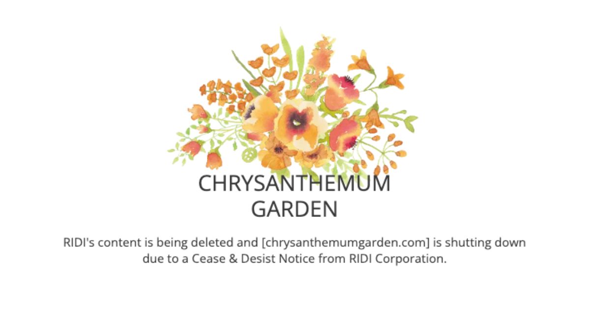 chrysanthemum garden